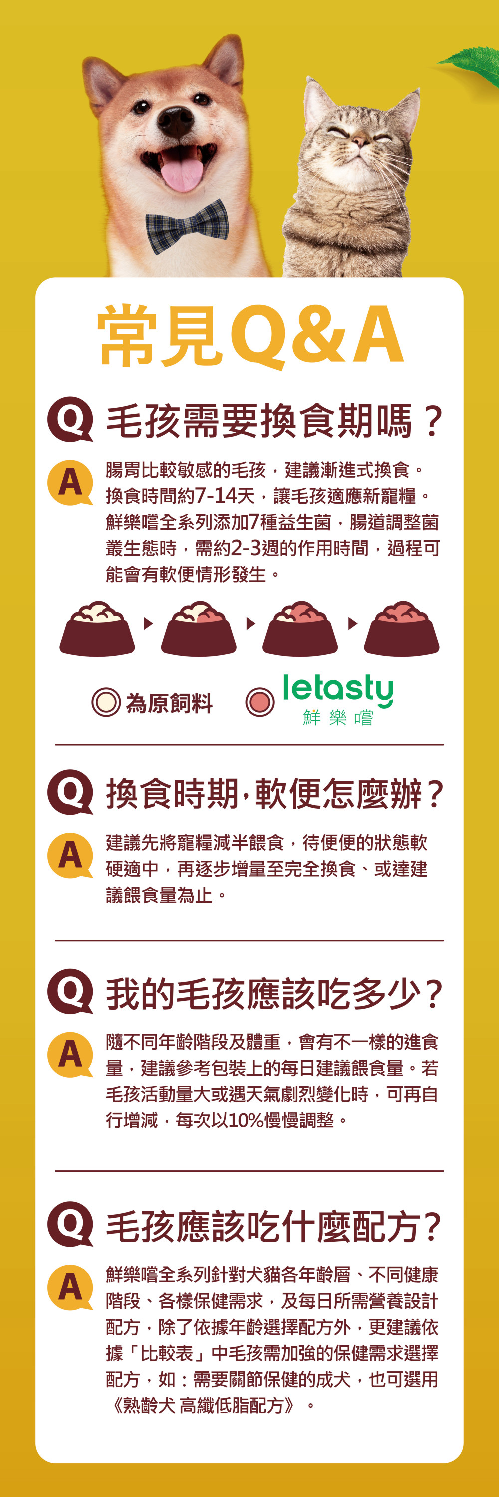 常見Q&A
